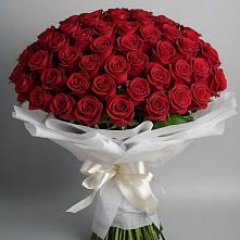 Букет 101 Красная роза Блэк Мэджик в Озерах