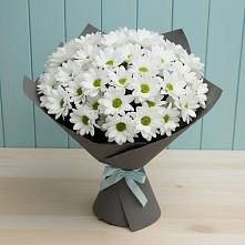 Букет цветов из:  Хризантемы #REPLACE_PRED# Озерах