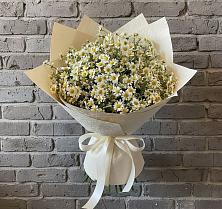 Букет цветов из:  Ромашки в Озерах