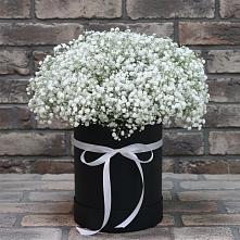 Цветочная композиция из Гипсофила в шляпной коробке #REPLACE_PRED# Озерах