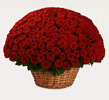 Премиум букет из: Розы в Озерах